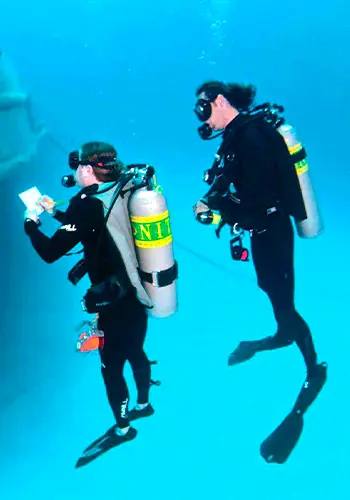 Egypt International Diving